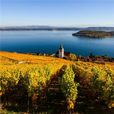 爱心彩票Welcome彩票中心