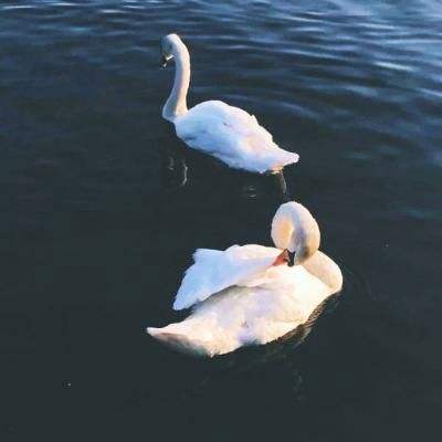 开元ky888棋牌开元登录