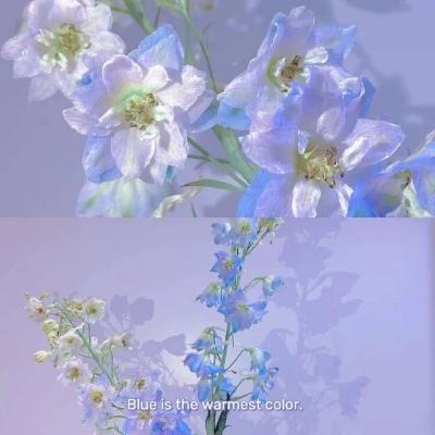 开元ky888棋牌开元登录截图